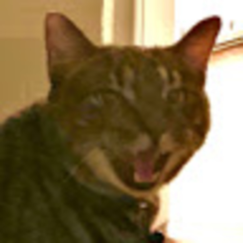 Meet your Posher, Charlie